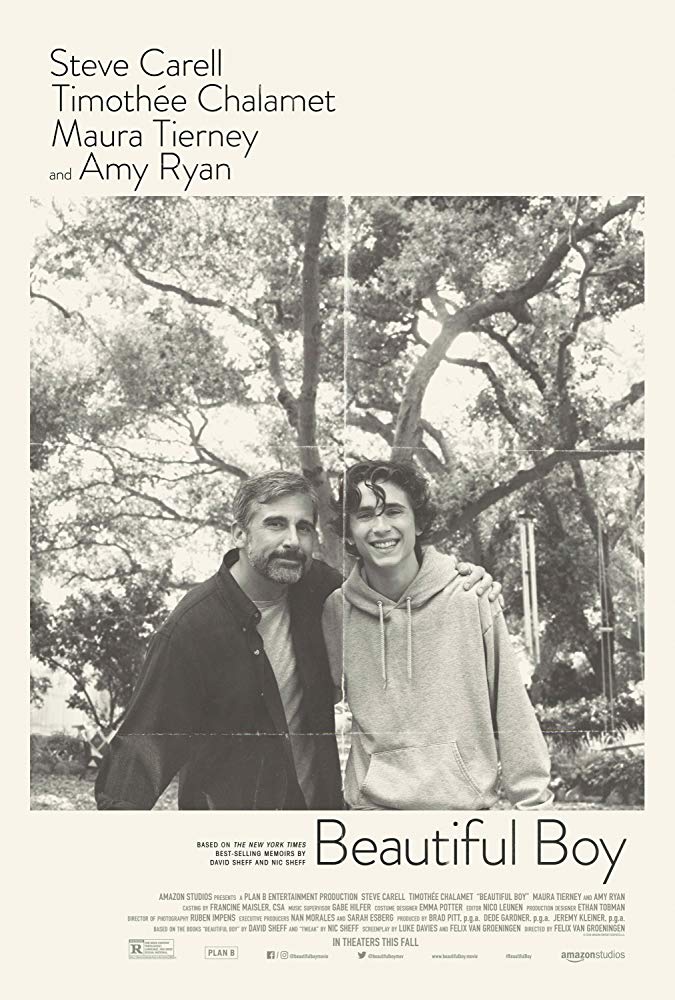Beautiful Boy (Felix van Groeningen, 2018)