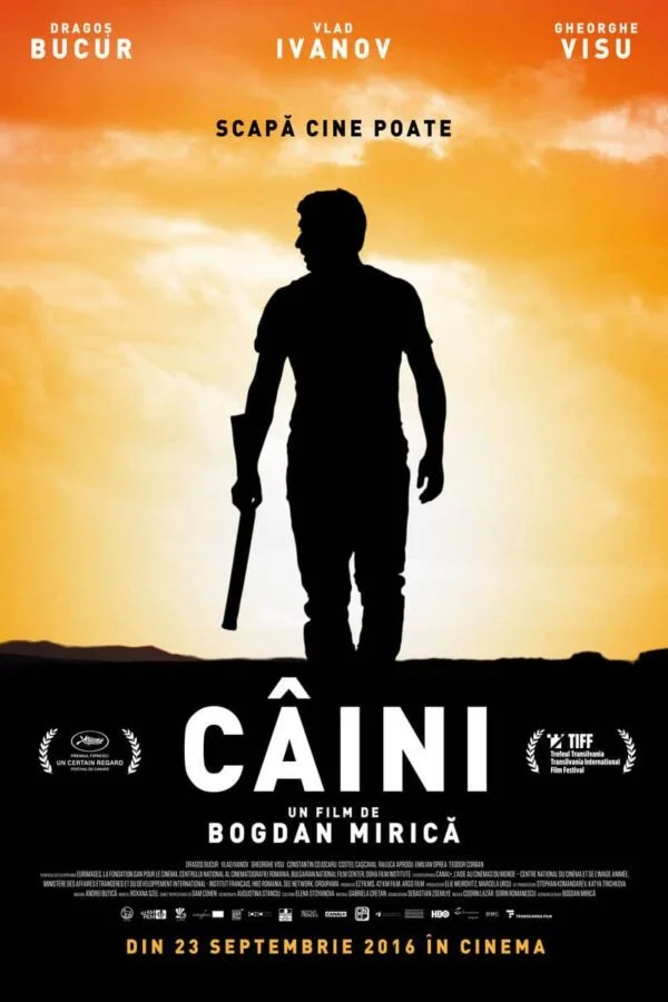 recenzie de film romanesc Caini, Bogdan Mirica
