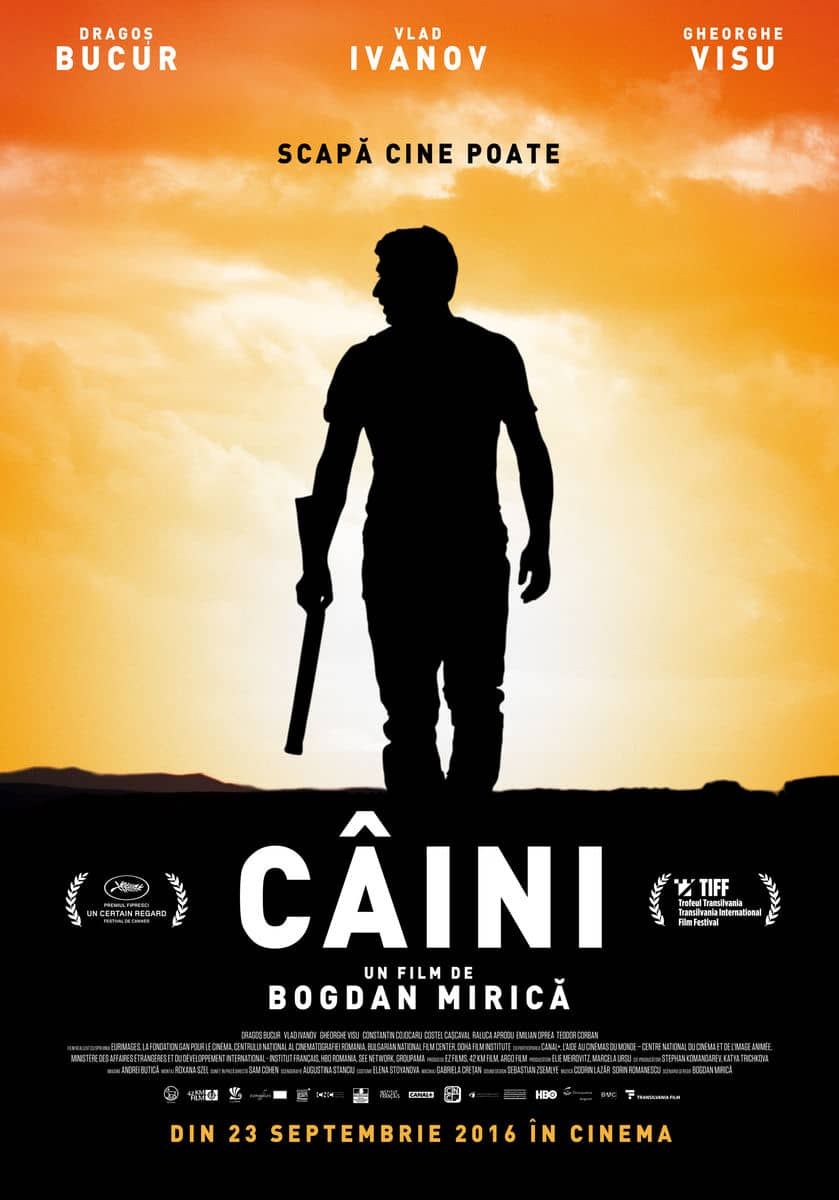 recenzie de film romanesc Caini, Bogdan Mirica