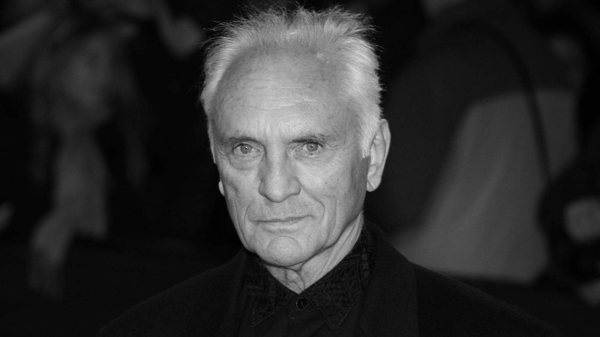 Terence Stamp In Memoriam Terence Stamp (1938-2025)