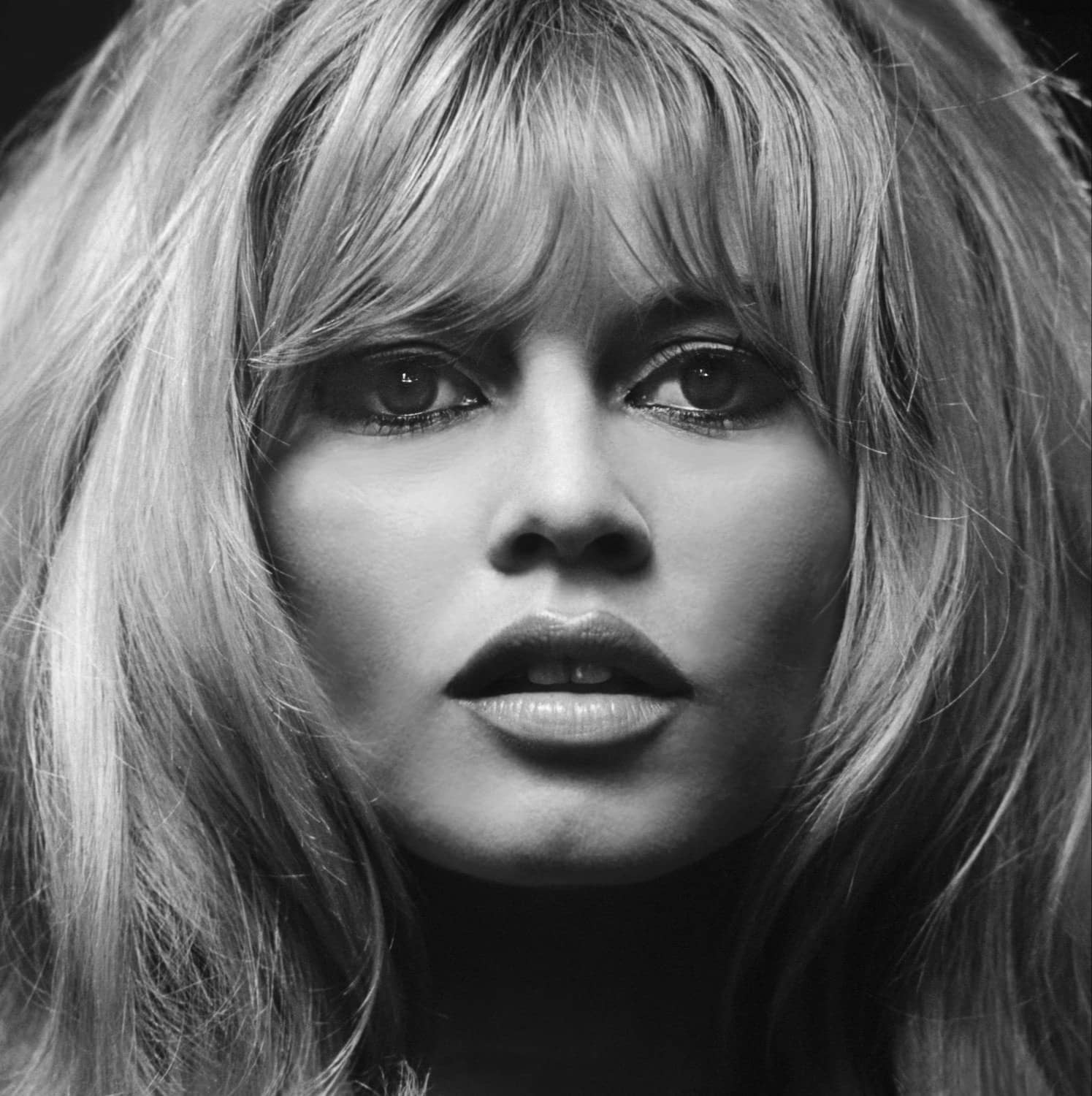 In Memoriam Brigitte Bardot (1934-2025)